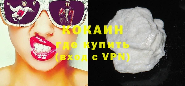 сатива Коряжма