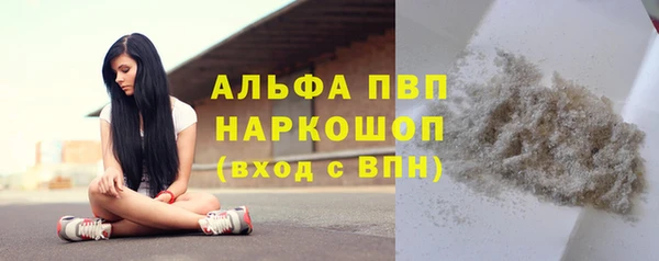 сатива Коряжма