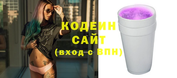 прущий лед Корсаков