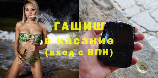 сатива Коряжма