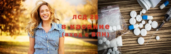 сатива Коряжма