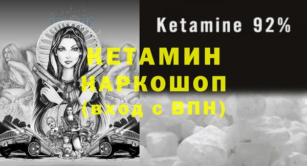 сатива Коряжма
