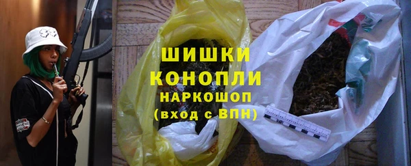 сатива Коряжма