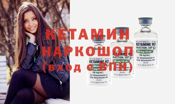сатива Коряжма