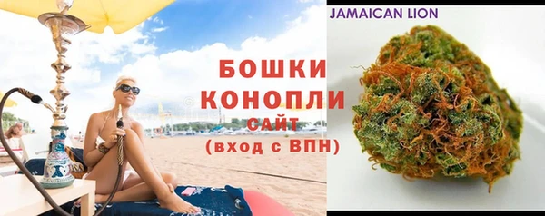 сатива Коряжма