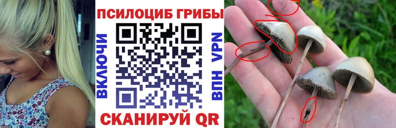 Галлюциногенные грибы ЛСД  Хадыженск 